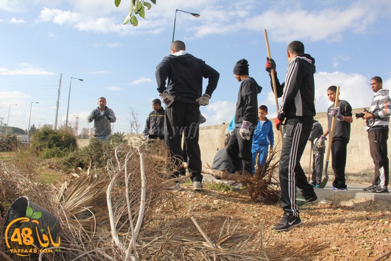 taso mashro3 tandaef (71).JPG